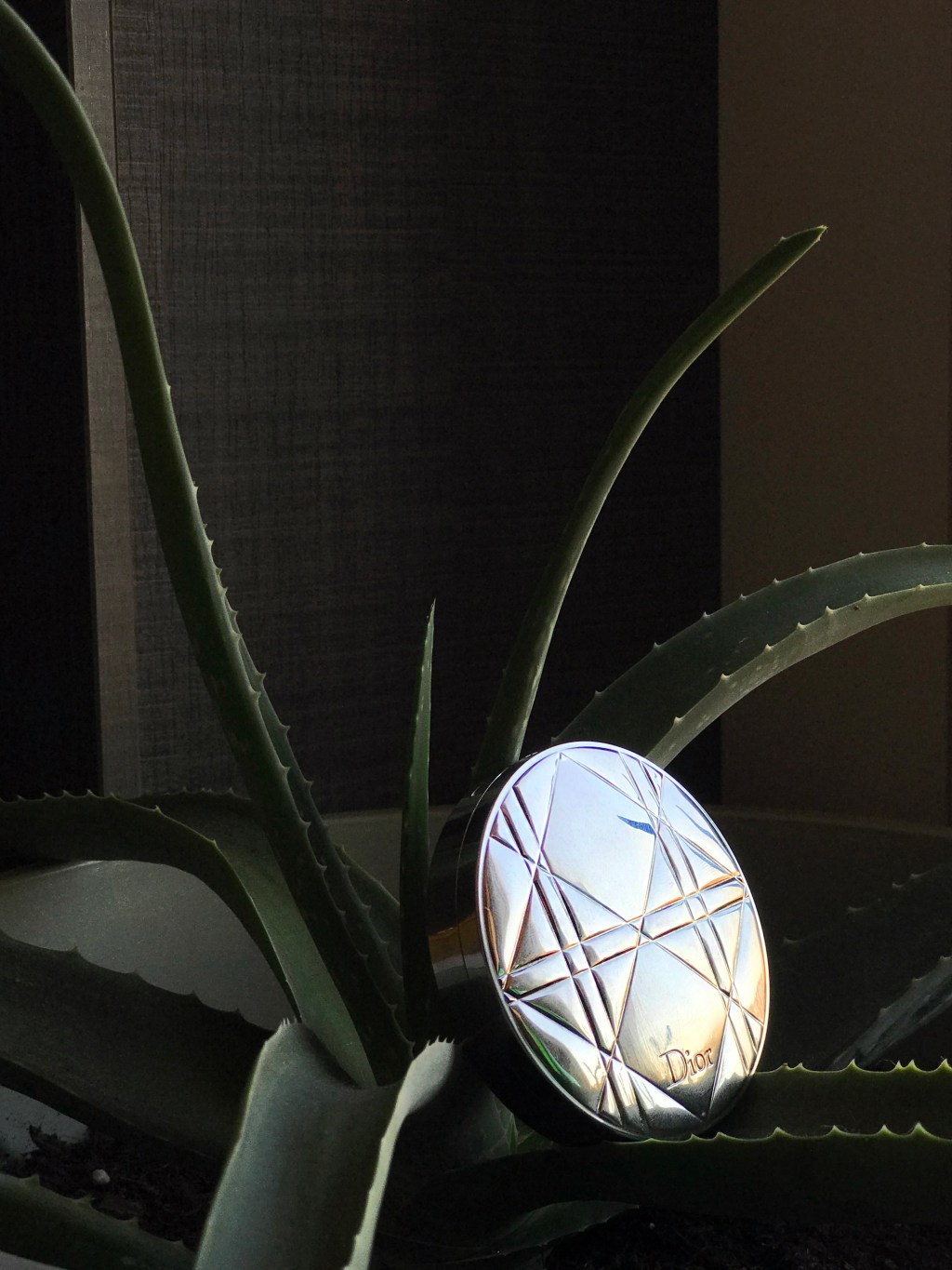 Diorskin Nude Luminizer